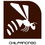 Línea café (Línea 9)